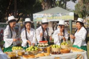 Ausstellung verschiedener aus Äpfeln hergestellter Produkte auf der Feria de la manzana